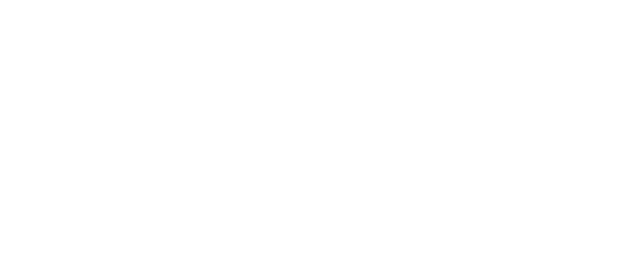 Birdie Play Logo